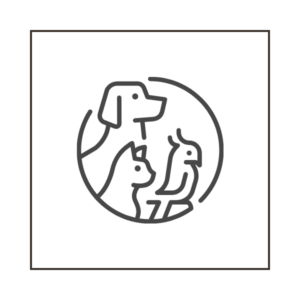 beb con animali ammessi bergamo e provincia centro bergamo italia